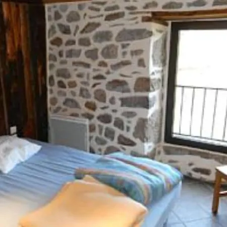Maison Au Giraldes Puy Mary Volcan Chalet Gr400 * Le Claux